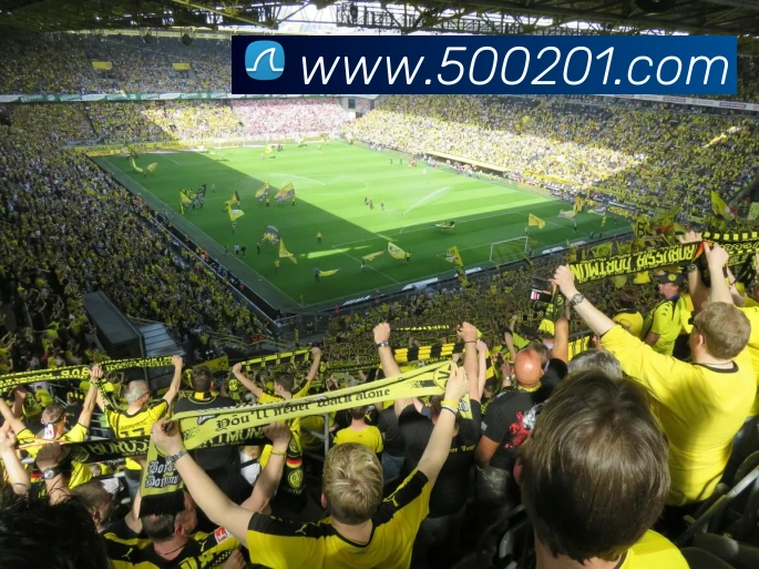 500彩票网官方全站App